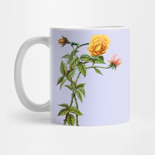 Yellow and pink roses Mug